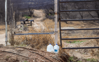 La hermana agua, cántaro sagrado que nutre y anima toda creación