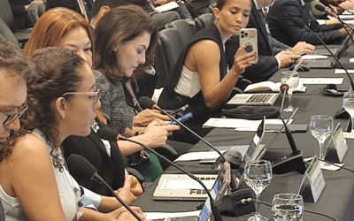 Red CLAMOR presente en la Segunda Consulta Temática del Proceso de Cartagena+40 en Brasil